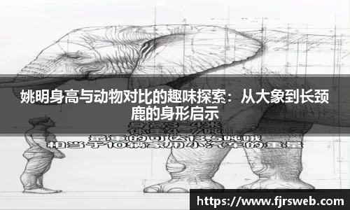 姚明身高与动物对比的趣味探索：从大象到长颈鹿的身形启示