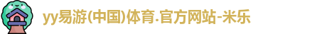 yy易游